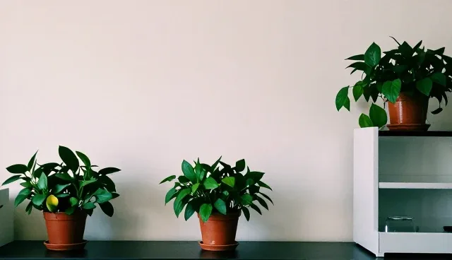 技术应用:系统集成的适用条件分析